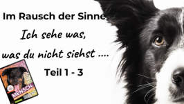 Im Rausch der Sinne: Ich sehe was, was du nicht siehst!