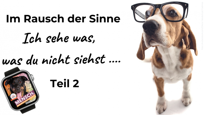 Lektion 2: Ich sehe was, was du nicht siehst