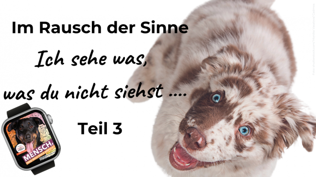 Lektion 3: Ich sehe was, was du nicht siehst...