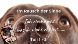 Im Rausch der Sinne: Ich rieche was, was du nicht riechst....