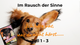 Im Rausch der Sinne: Ich höre was, was du nicht hörst