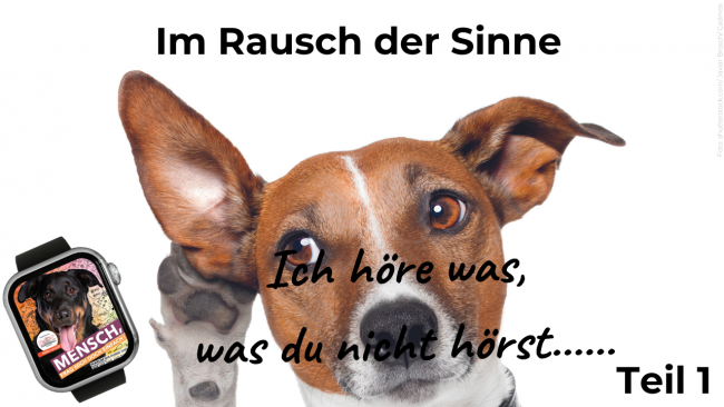 Ich höre was, was du nicht hörst... Teil 1