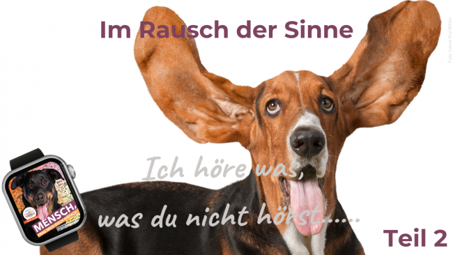 Ich höre was, was du nicht hörst... Teil 2