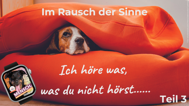Ich höre was, was du nicht hörst... Teil 3