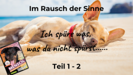 Im Rausch der Sinne: Ich spüre was, was du nicht spürst...