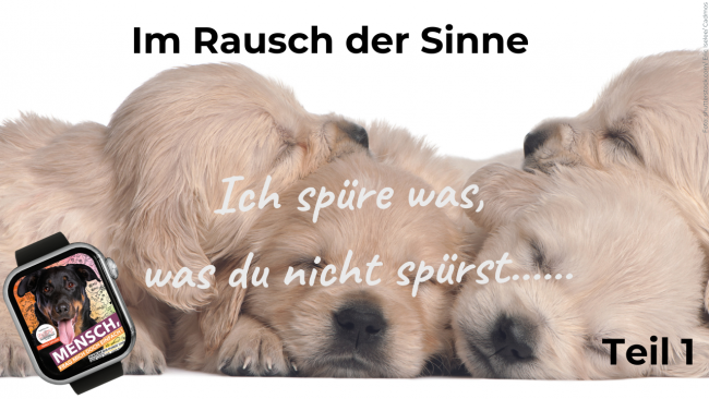 Ich spüre was, was du nicht spürst.... Teil 1