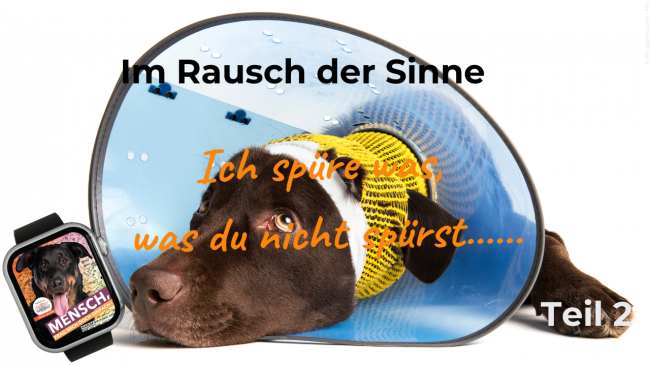Ich spüre was, was du nicht spürst... Teil 2