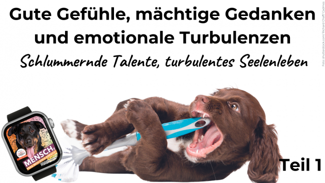 Gute Gefühle & mächtige Gedanken - Teil 1
