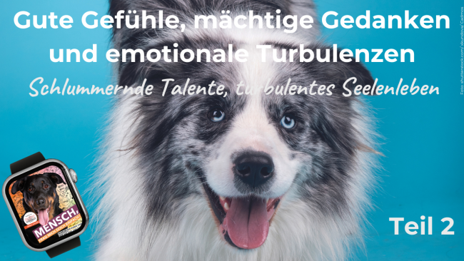 Gute Gefühle & mächtige Gedanken - Teil 2