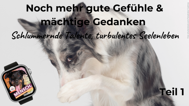 Noch mehr Gefühle..... Teil 1