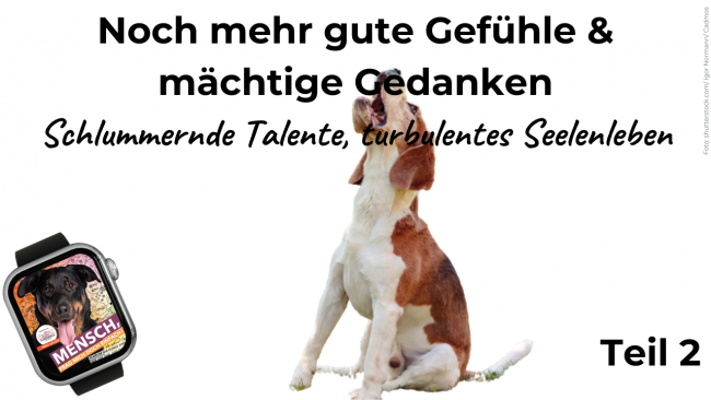 Noch mehr Gefühle.... Teil 2