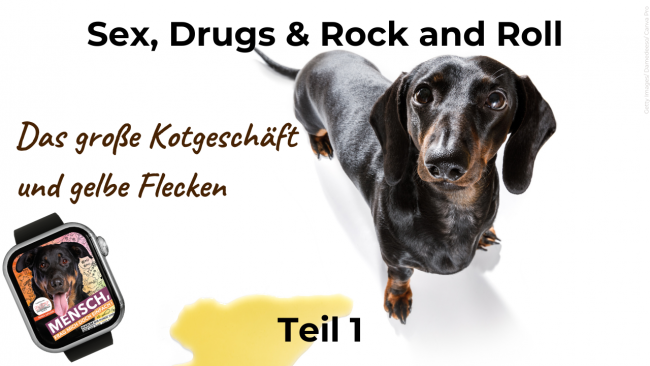 Das große Kotgeschäft & gelbe Flecken - Teil 1