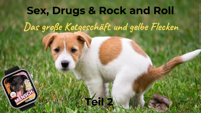 Das große Kotgeschäft & gelbe Flecken - Teil 2