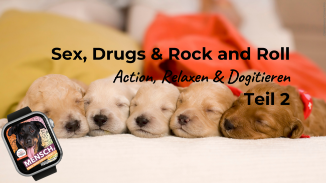 Action, Relaxen und Dogitieren - Teil 2