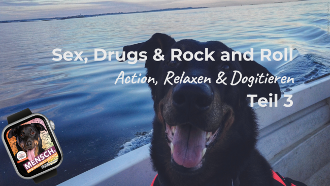 Action, Relaxen und Dogitieren - Teil 3