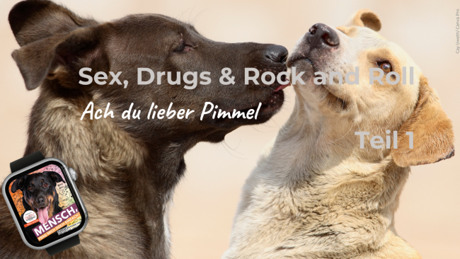 Ach du lieber Pimmel! - Teil 1