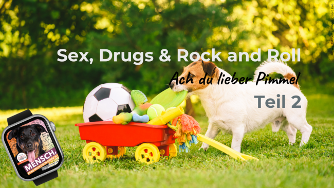 Ach du lieber Pimmel! Teil 2