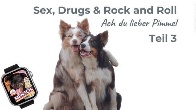 Ach du lieber Pimmel! Teil 3