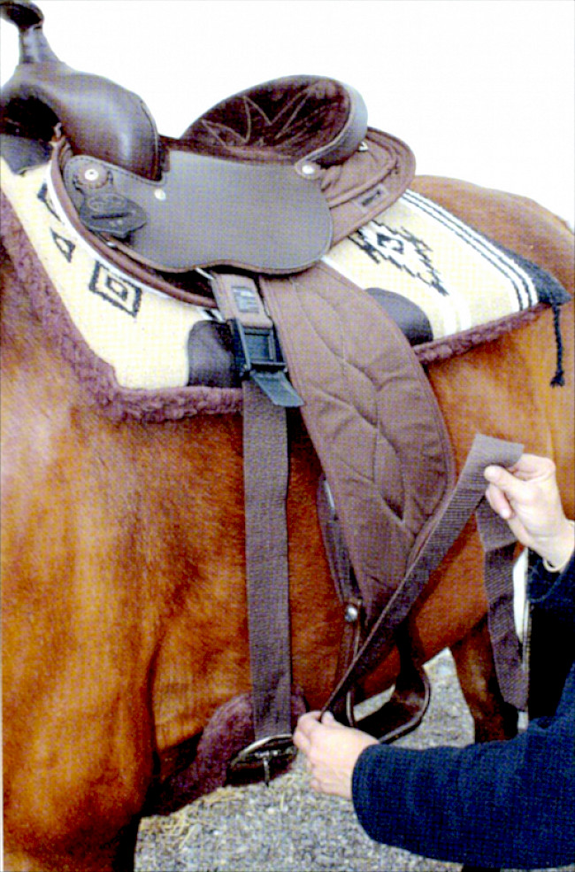 Satteln leicht gemacht: So funktioniert der Schnellgurter