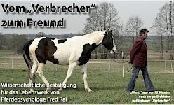 Vom "Verbrecher" zum Freund