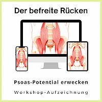 Der befreite Rücken für 60 EUR