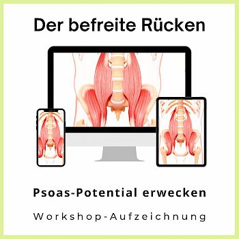 Der befreite Rücken für 60 EUR