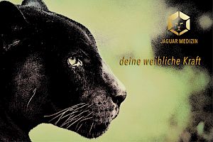 JAGUAR MEDIZIN - deine weibliche Kraft