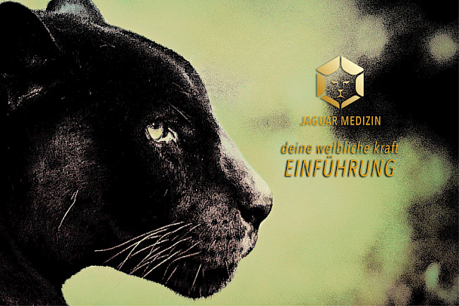 Was ist die Jaguar Medizin?