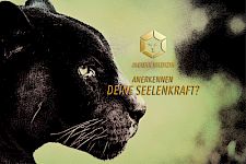 ANERKENNEN - DEINE SEELENKRAFT