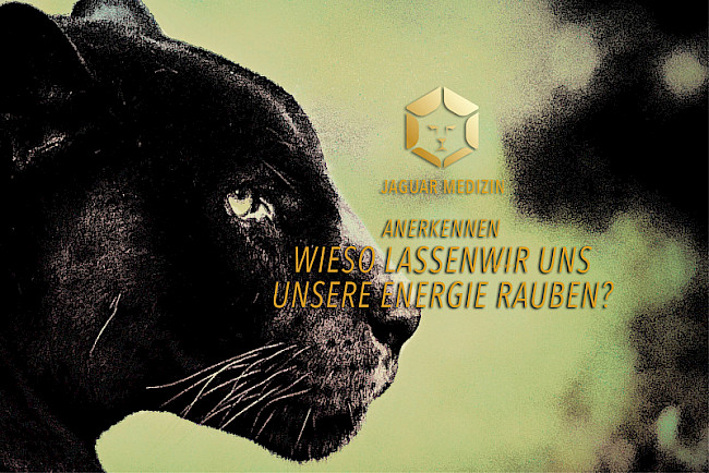 Wieso lassen wir uns überhaupt unsere Energie rauben?