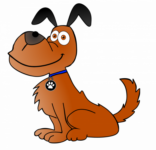 Tierschutzhundeverordnung