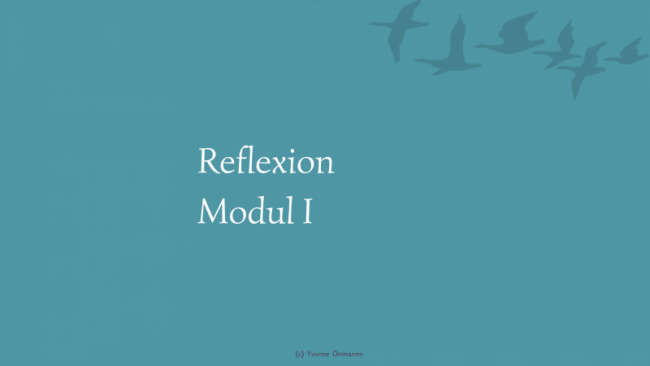 Reflexion Modul I