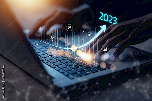 Betriebswirtschaftliche Beratung