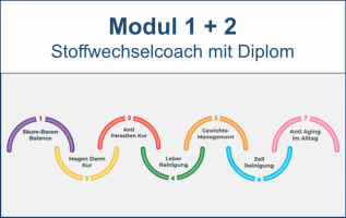 Modul 1+2: Die 7 Schritte zur Stoffwechsel - Balance