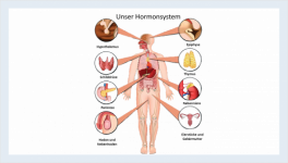 Hormone und Hormonsystem: Dirigenten des Körpers