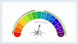 Säure-Basen-Haushalt