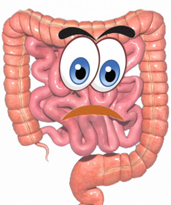 Ernährung bei einem empfindlichen Darm