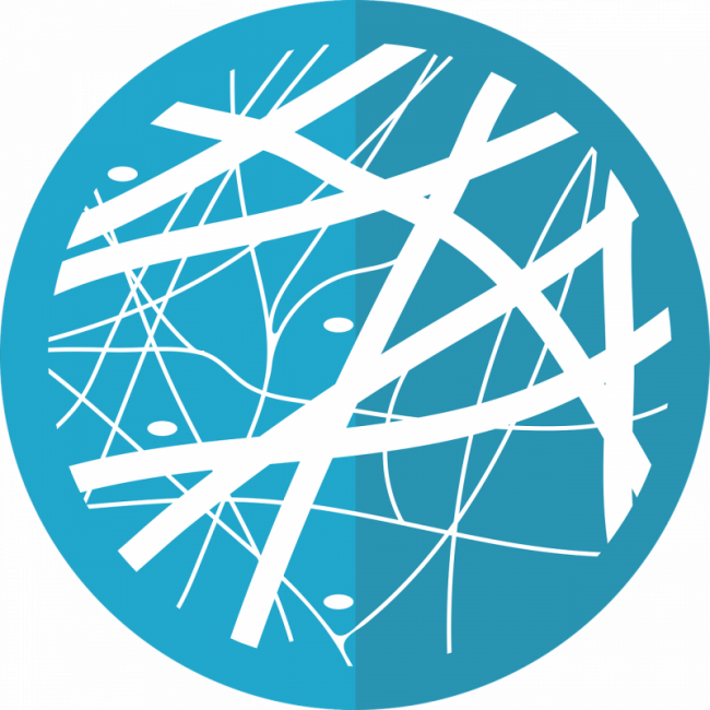 Das Bindegewebe - das System der Grundregulation