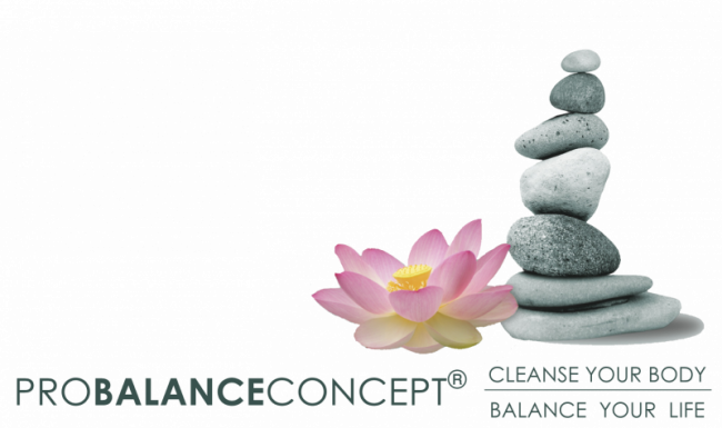 Einführung und wichtige Grundlagen