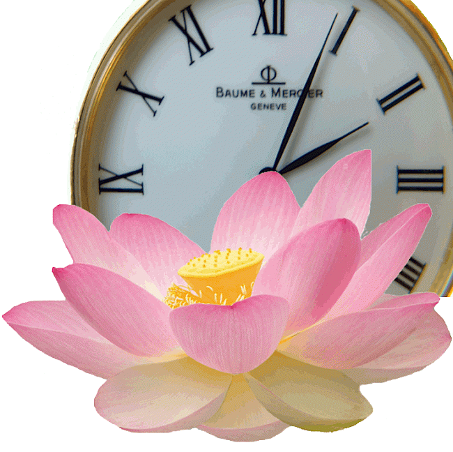 Zeitlicher Ablauf des PROBALANCE-Kurses