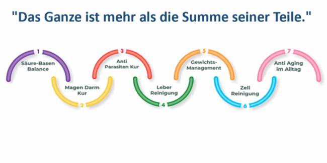 Die Synergie der 7 Schritte