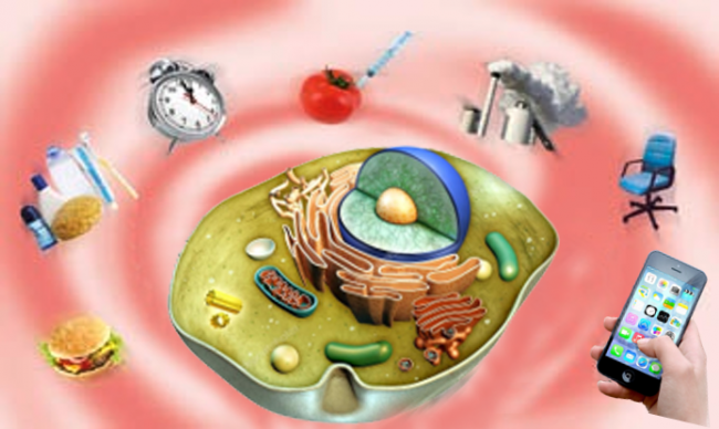 Warum heute jeder entgiften sollte