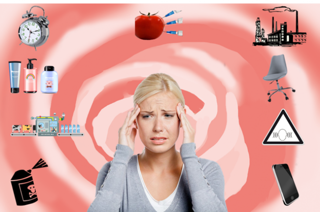 Umweltgifte und Entgiftung in 3 Phasen