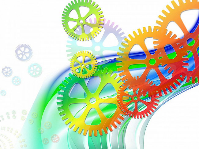 Die „Stellschrauben“ der Entgiftung