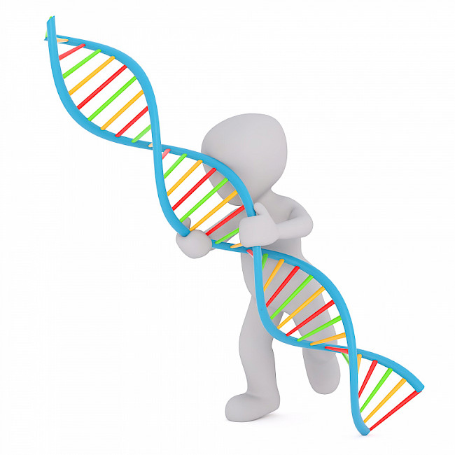 Was ist eigentlich Epigenetik?