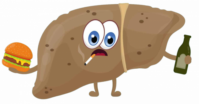 Fettleber und Ernährung als Therapie