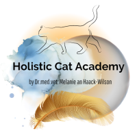 Membership für Katzen-Empathinnen