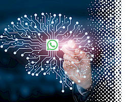 WhatsApp ScaleUp by Fit2ScaleUp