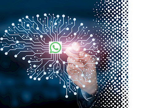 WhatsApp ScaleUp by Fit2ScaleUp