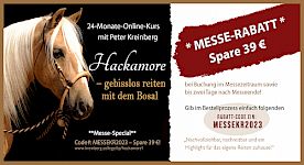 Gutschein für deinen Hackmamore-Online-Kurs